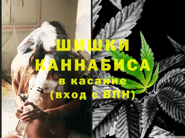 гидра Алексин