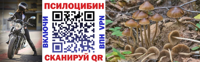 где найти   Асино  Псилоцибиновые грибы мицелий 