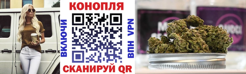купить  сайты  Асино  Шишки марихуана сатива 